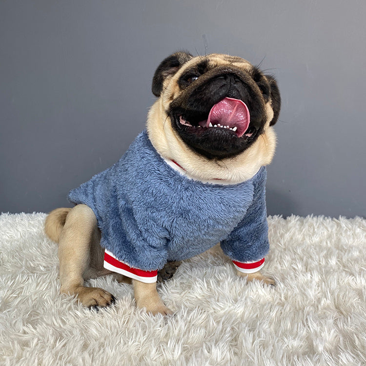 Pet sweater - Select Dog Bargains