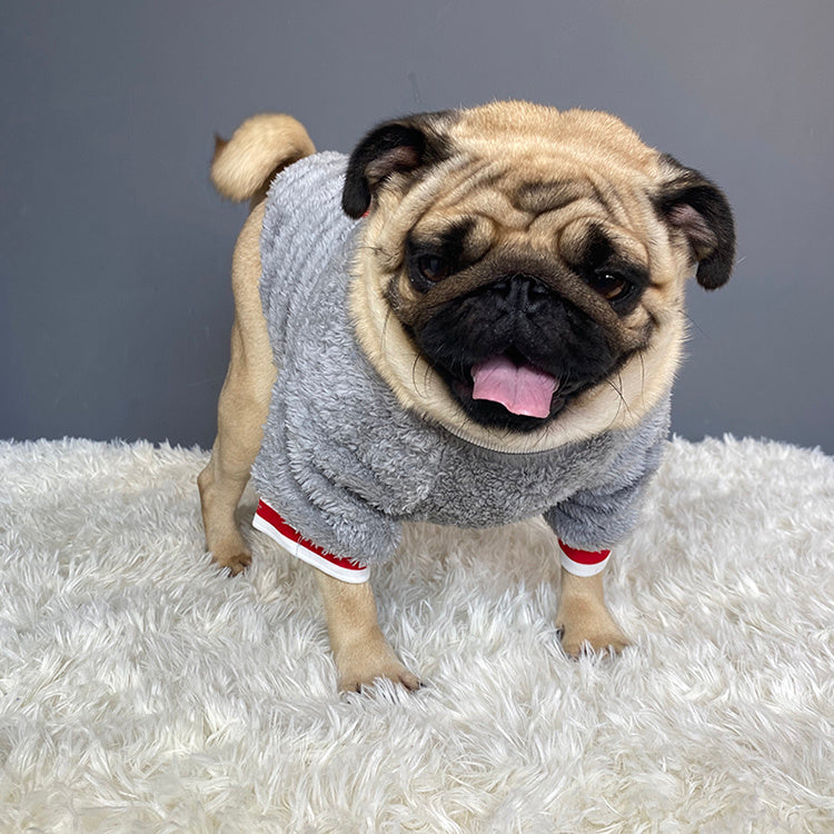 Pet sweater - Select Dog Bargains