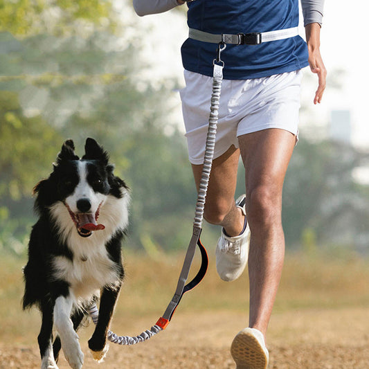 Jog With Your Dog - Fabulously Comfortable Hands Free Dog Leash - Select Dog Bargains